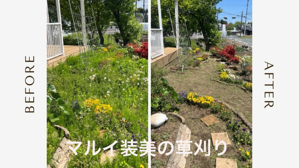 草刈りビフォーアフター
