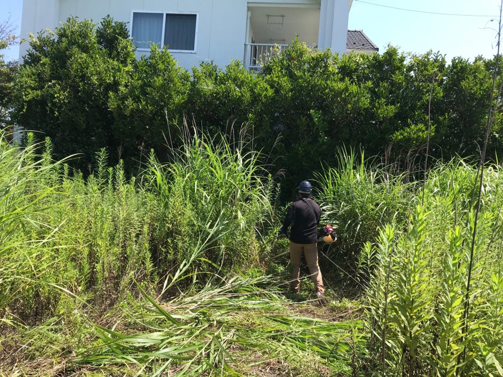 日立市
空き家管理
除草作業